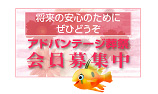 Ahof[WՉW