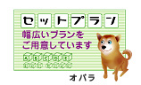 Zbgv
