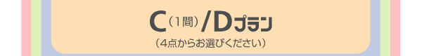 Ci1ԁj/Dvi4_炨Iтj